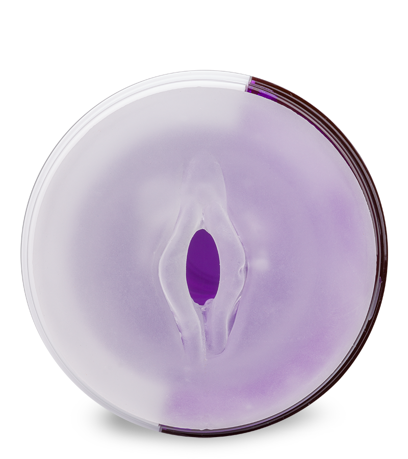 Imperial thrusting masturbator 10 speeds