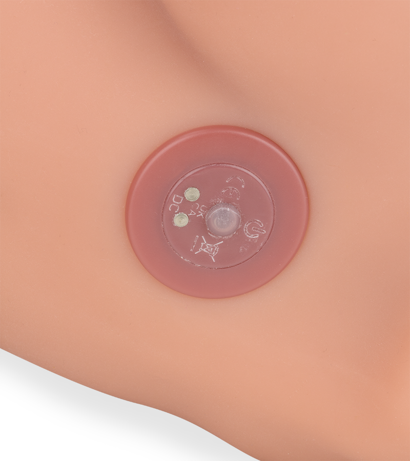 Inaya trans sex torso with anus and vibrating thrusting penis 22.00 lb