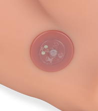 Load image into Gallery viewer, Inaya trans sex torso with anus and vibrating thrusting penis 22.00 lb