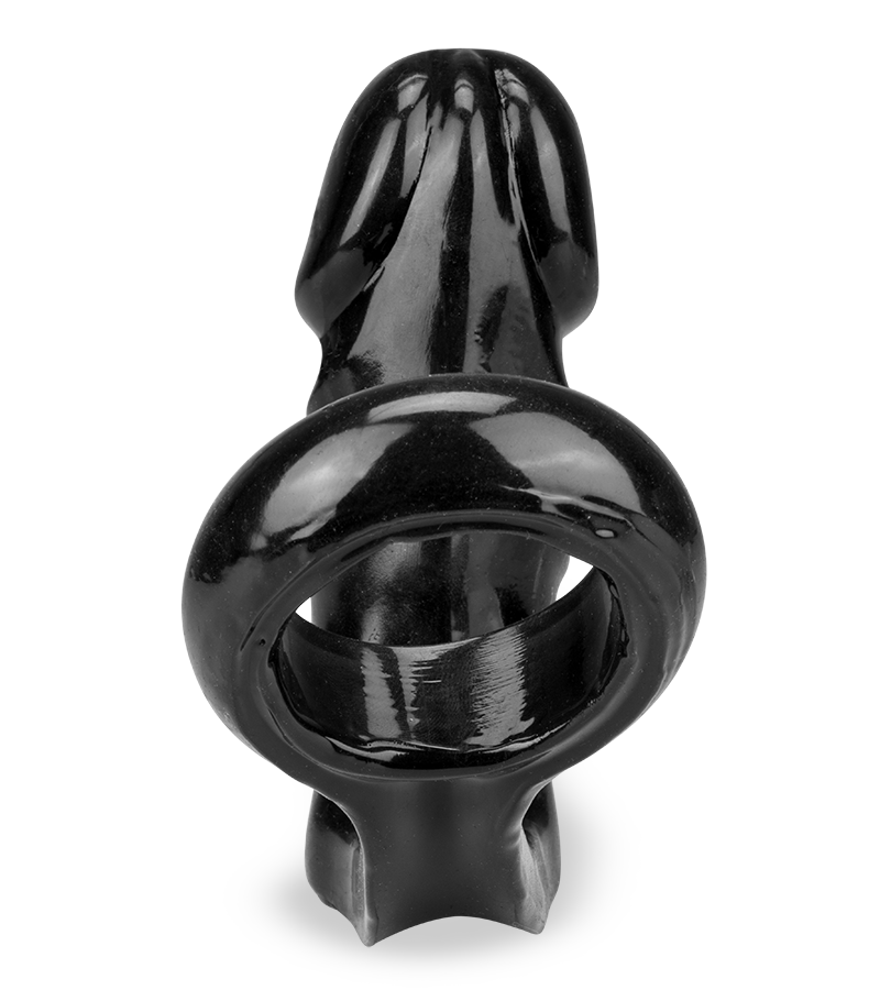 James butt plug with cock ring