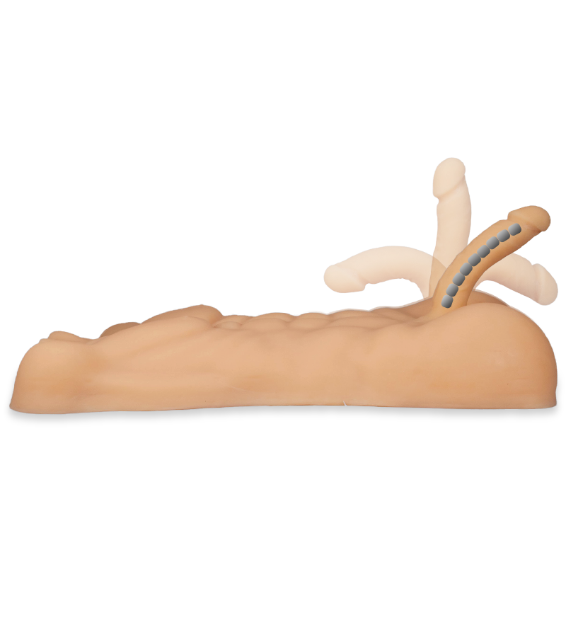 Jonathan realistic male sex torso with penis and anus