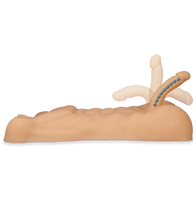 Load image into Gallery viewer, Jonathan realistic male sex torso with penis and anus