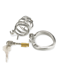 Load image into Gallery viewer, Judgement small chastity cage
