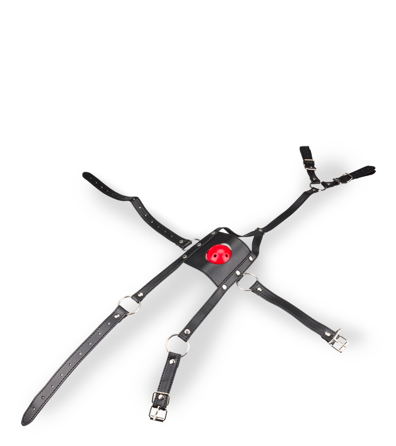 Leather face mask with ball gag