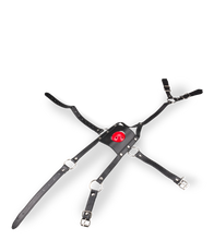 Load image into Gallery viewer, Leather face mask with ball gag