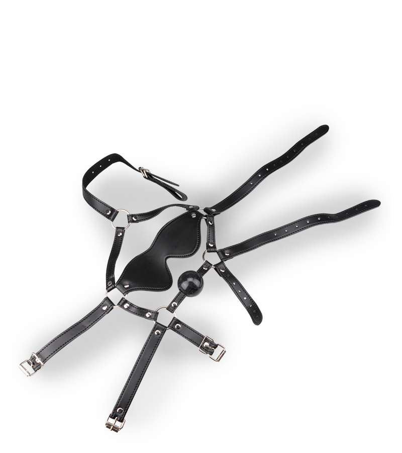 Leather Gag Harness with Blindfold