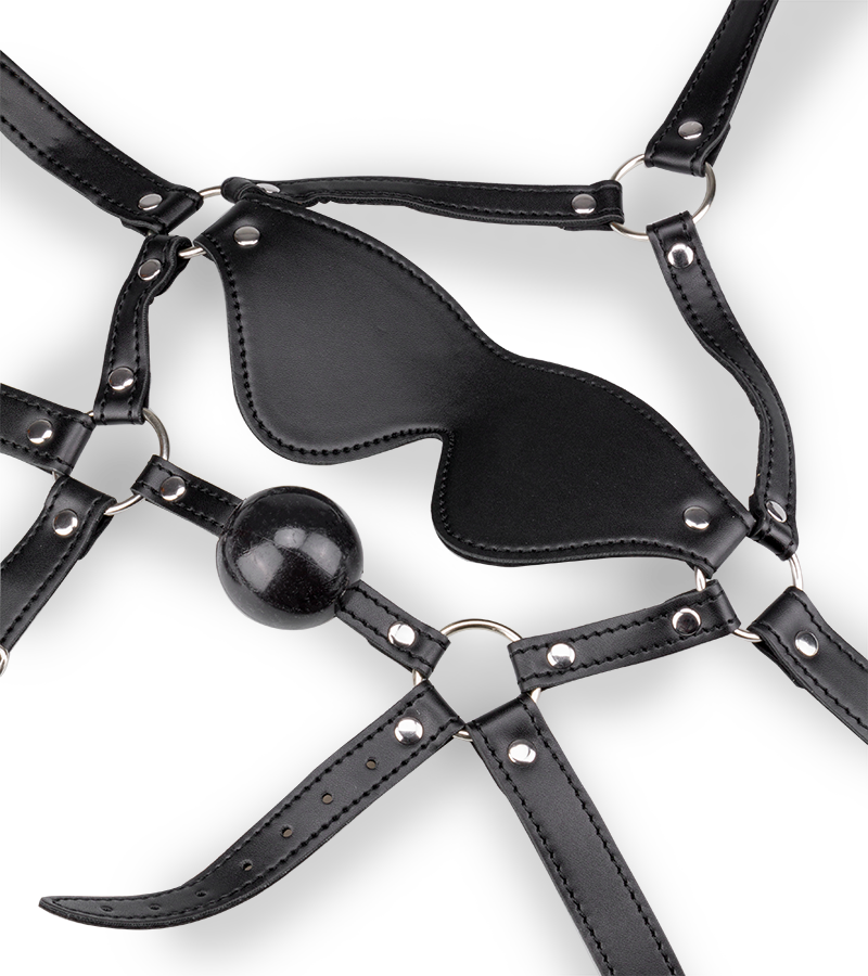 Leather Gag Harness with Blindfold
