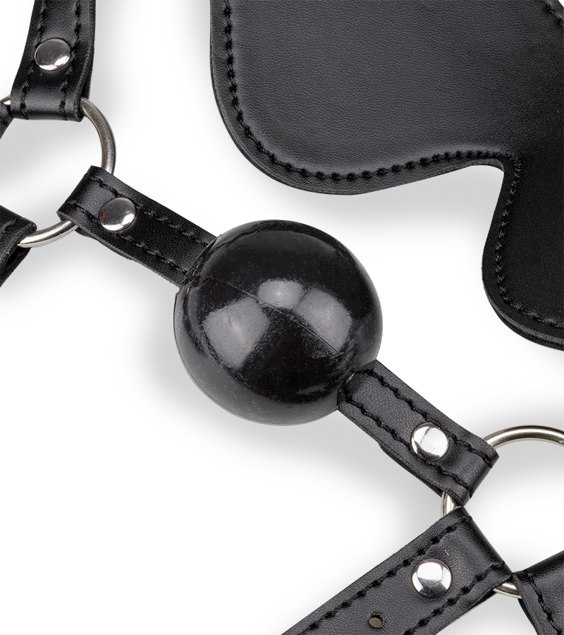 Leather Gag Harness with Blindfold