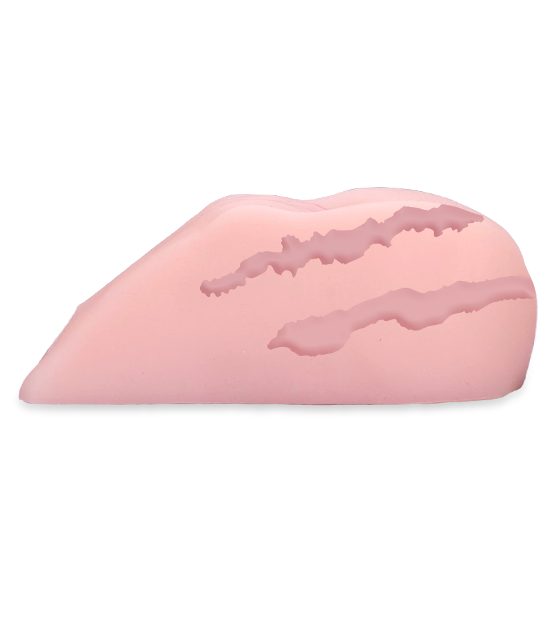 Life-sized vibrating vagina and anus