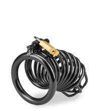 Load image into Gallery viewer, Little Prisoner penis chastity cage