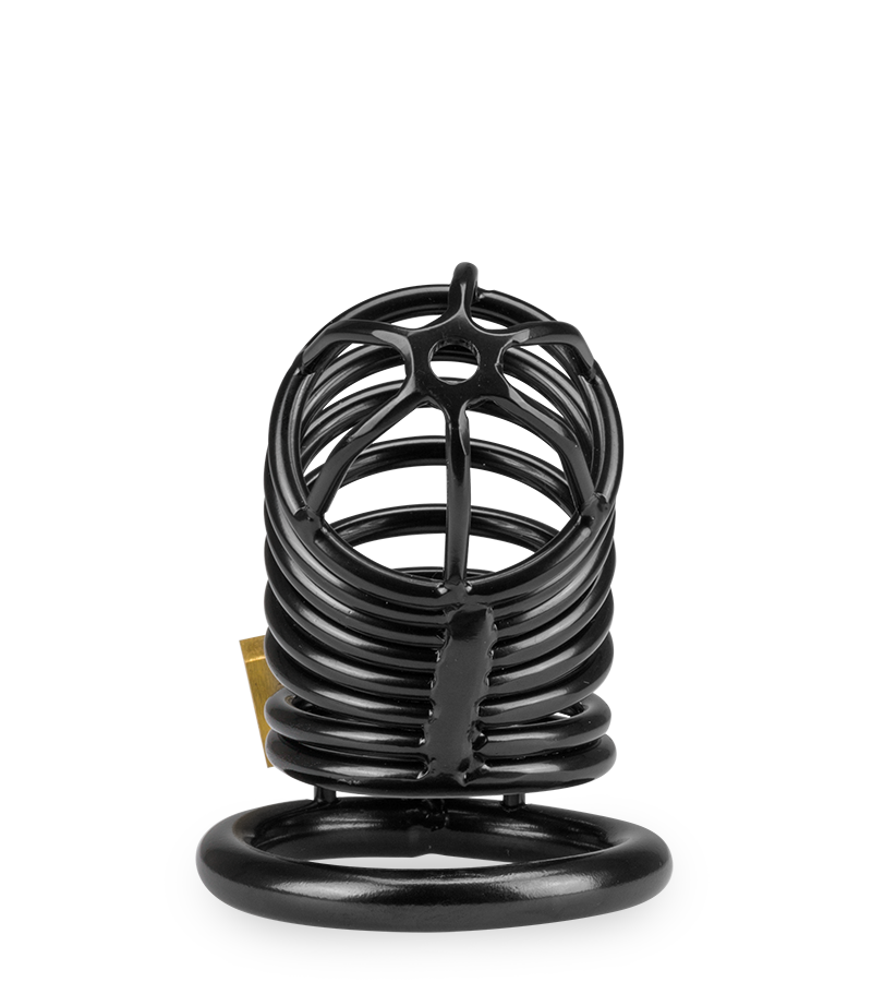 Little Prisoner penis chastity cage