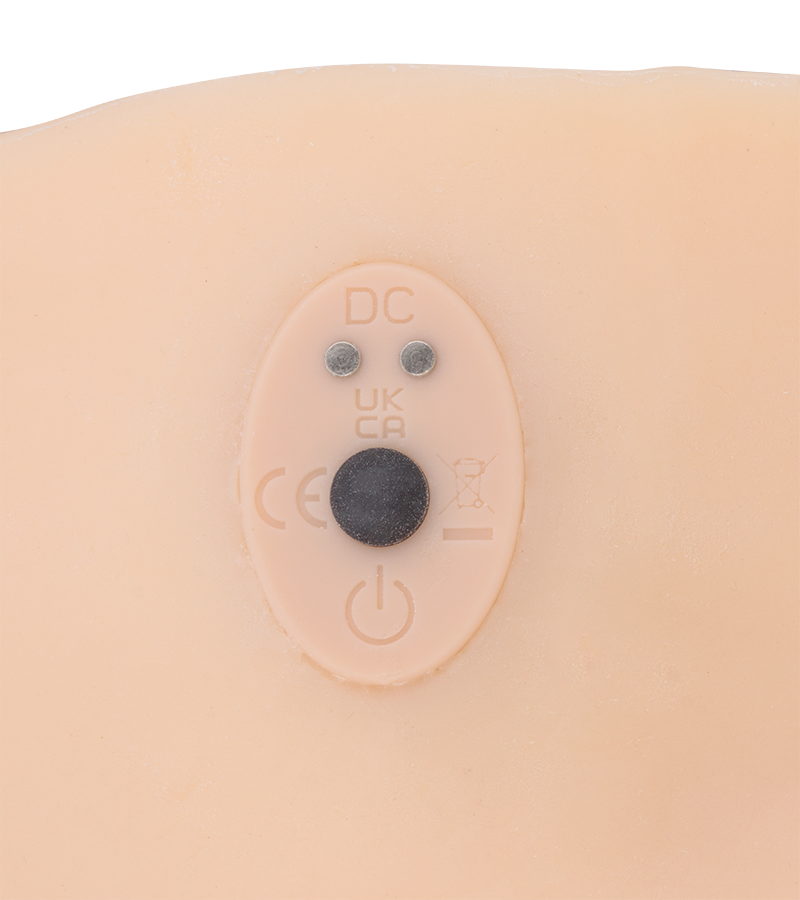 Lyra vibrating and thrusting ass masturbator 19 lb