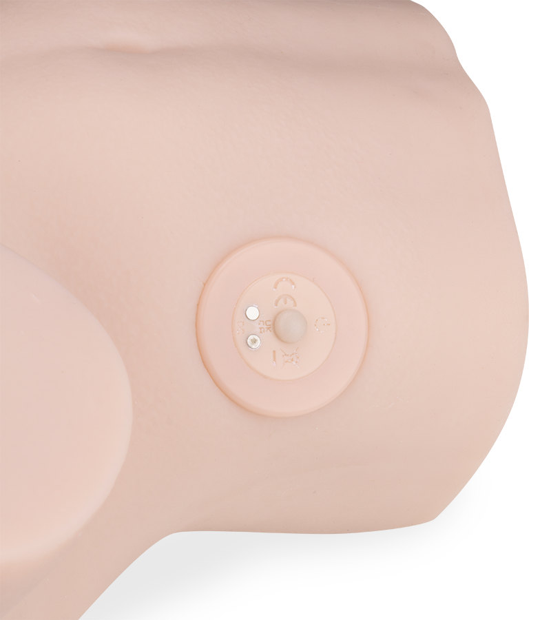 Lyzzie vibrating and sucking masturbator 4.50 lb