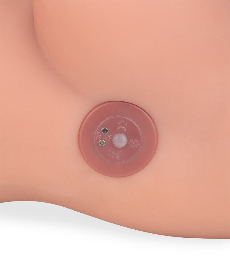 Melina trans sex torso with anus and vibrating thrusting penis  22.00 lb