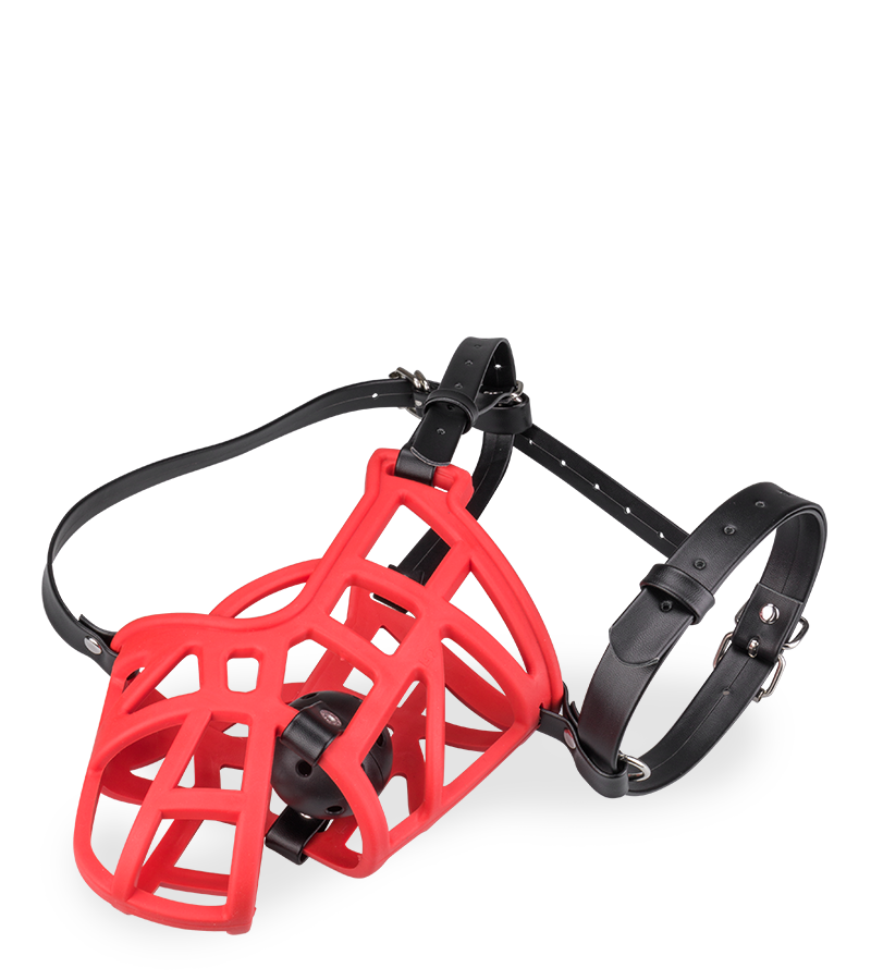 Muzzle with removable ball gag