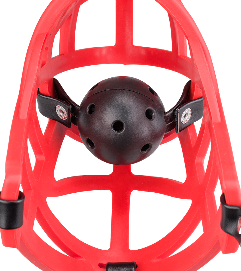 Muzzle with removable ball gag