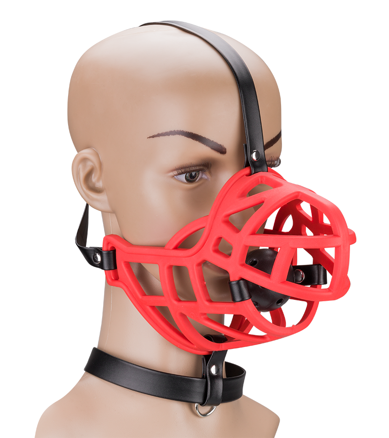 Muzzle with removable ball gag