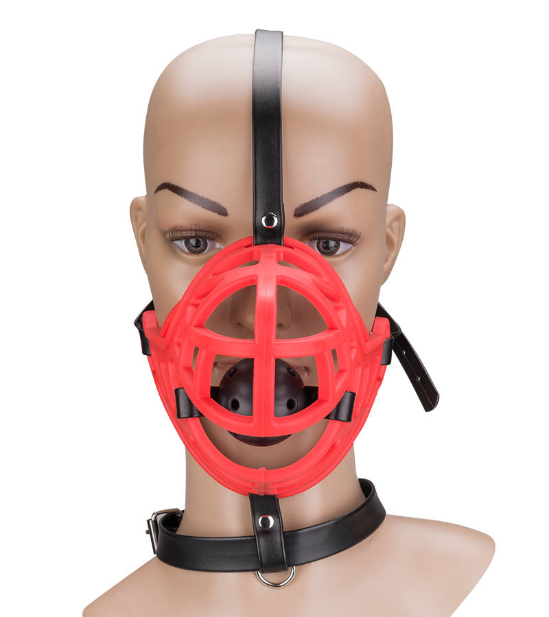 Muzzle with removable ball gag