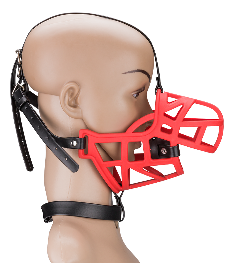 Muzzle with removable ball gag