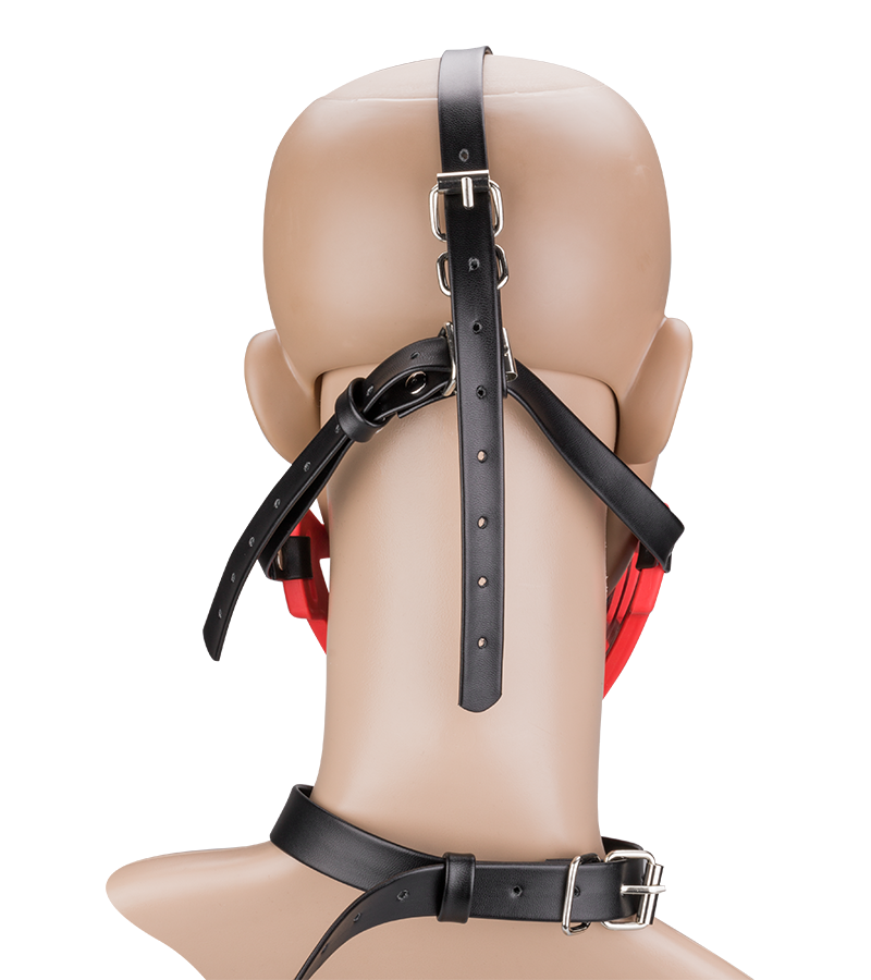 Muzzle with removable ball gag