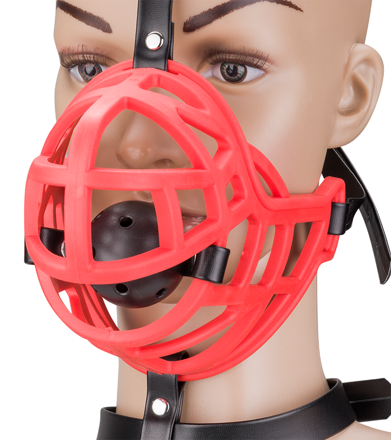 Muzzle with removable ball gag