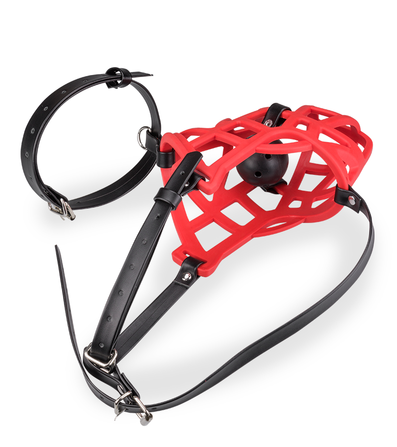 Muzzle with removable ball gag