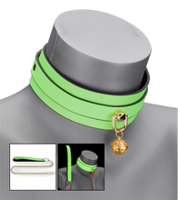 Load image into Gallery viewer, Neon green collar and lead