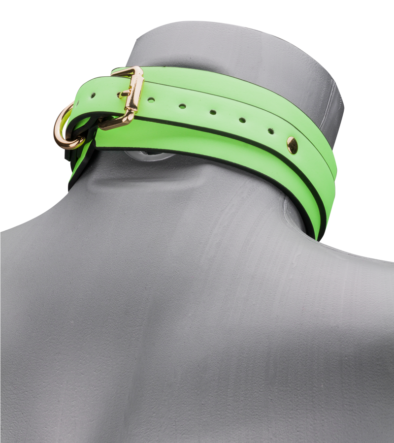 Neon green collar and lead