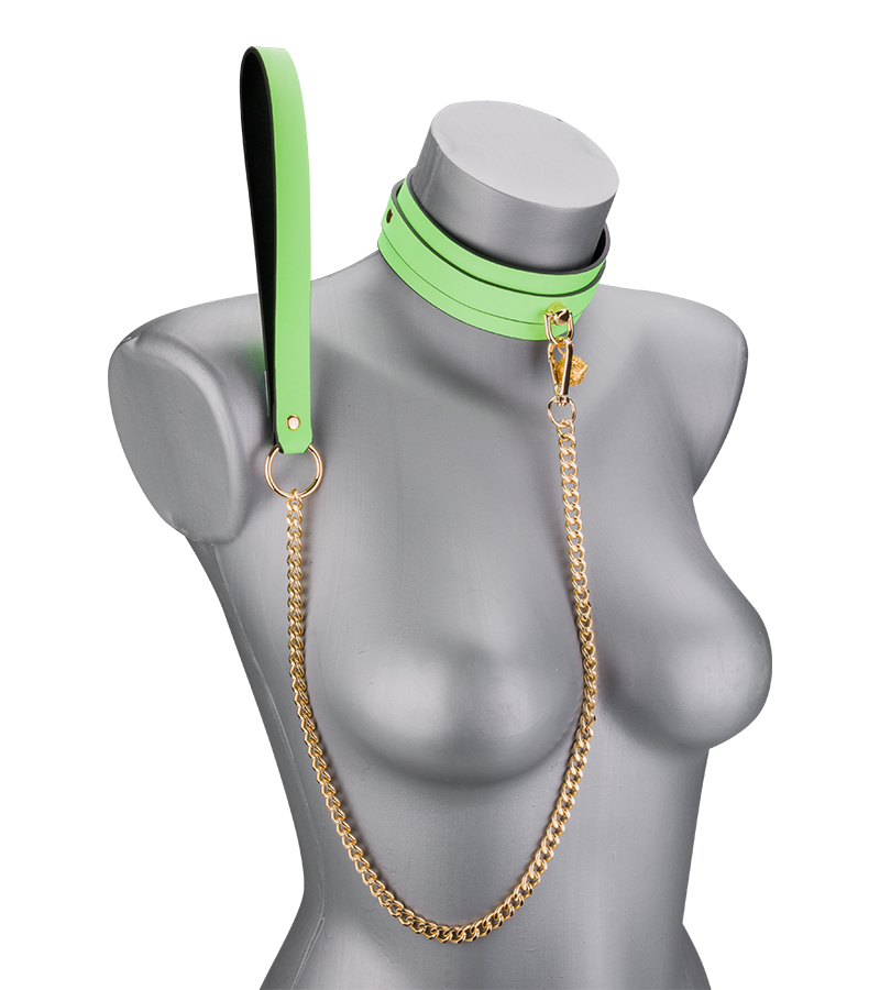 Neon green collar and lead