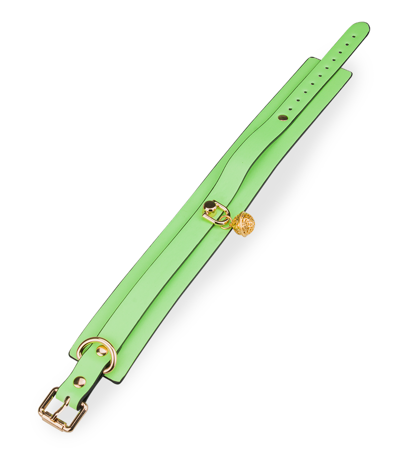 Neon green collar and lead