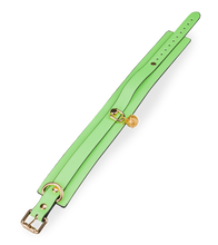 Load image into Gallery viewer, Neon green collar and lead