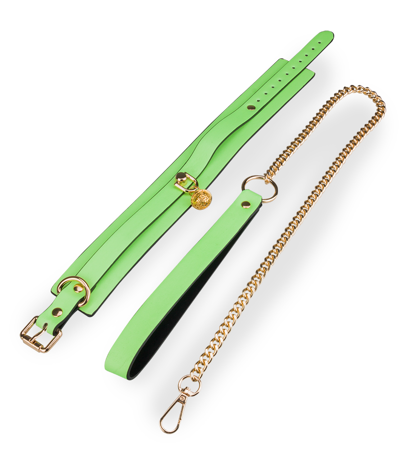 Neon green collar and lead