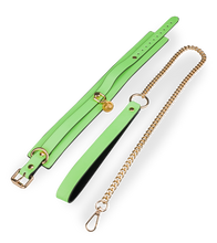 Load image into Gallery viewer, Neon green collar and lead
