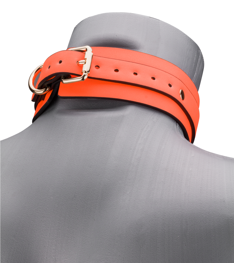 Neon orange collar and lead