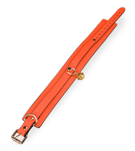 Load image into Gallery viewer, Neon orange collar and lead