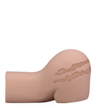 Load image into Gallery viewer, Ninon realistic ass and vagina masturbator 19 lb