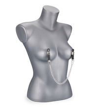 Load image into Gallery viewer, Nipple clamps with chain and weights
