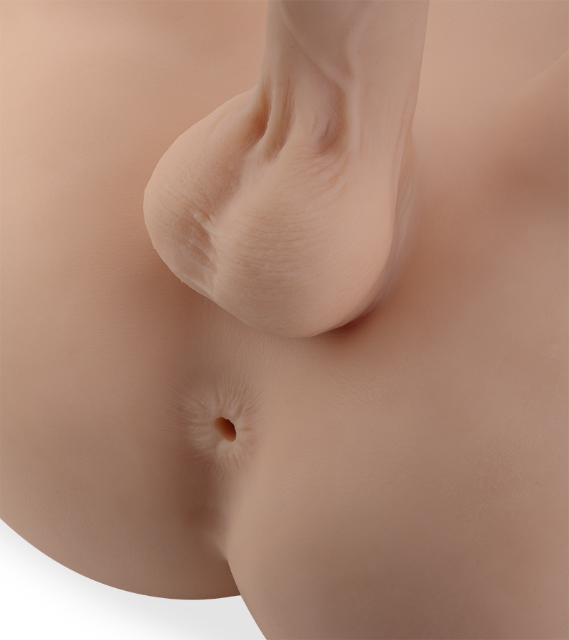 Paco life-sized male ass with bendable penis 28.50 lb