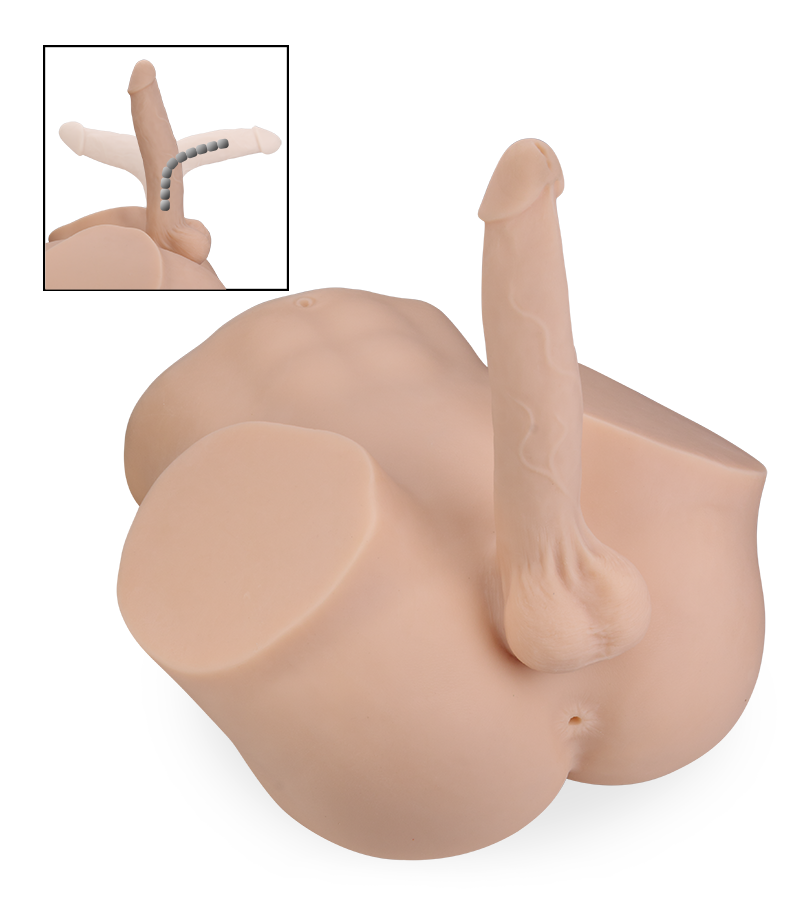 Paco life-sized male ass with bendable penis 28.50 lb