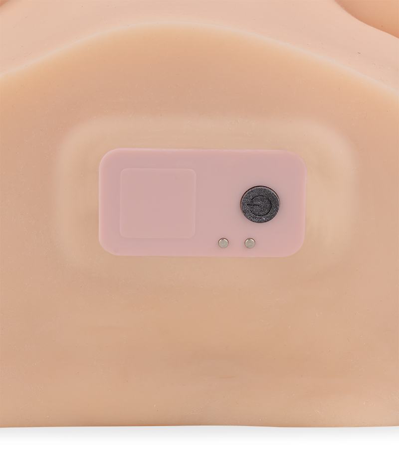 Paloma massaging ass, breasts and vagina masturbator 12 lb