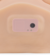 Load image into Gallery viewer, Paloma massaging ass, breasts and vagina masturbator 12 lb