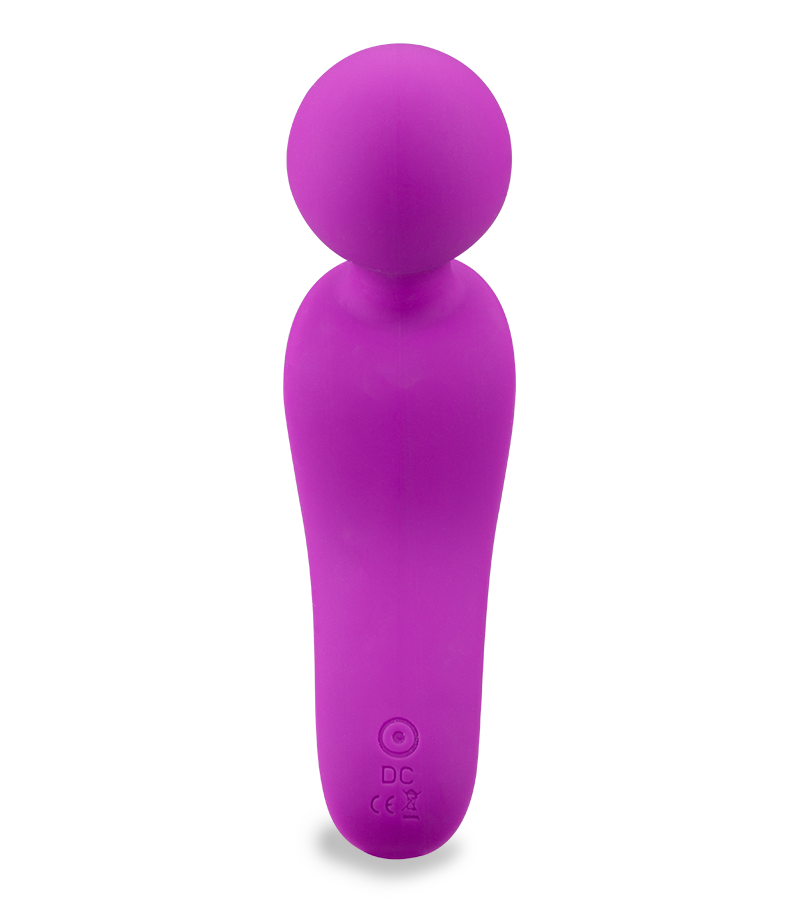 Passenger mini vibrator wand