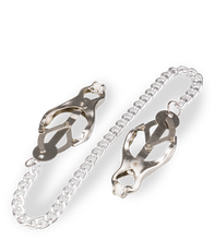 Load image into Gallery viewer, Pincher nipple clamps with chain