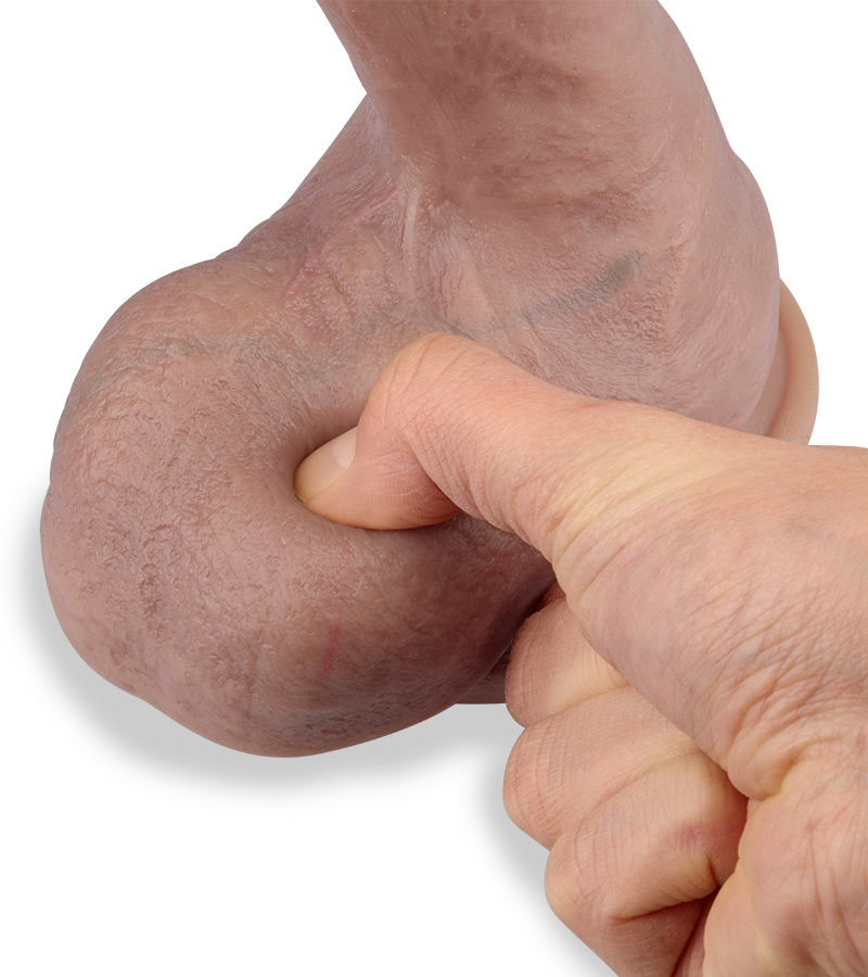 Platinum very realistic suction cup dildo 10.50 inches