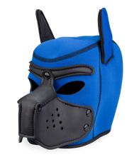 Load image into Gallery viewer, Puppy Play colourful neoprene dog hood