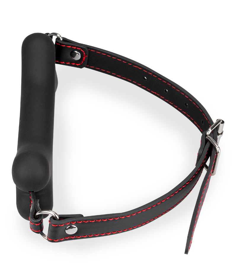 Puppy Play silicone dog bone gag 6.00 inches