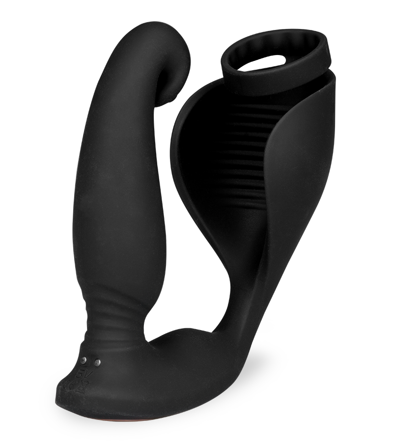 Raptor 2-in-1 prostate massager