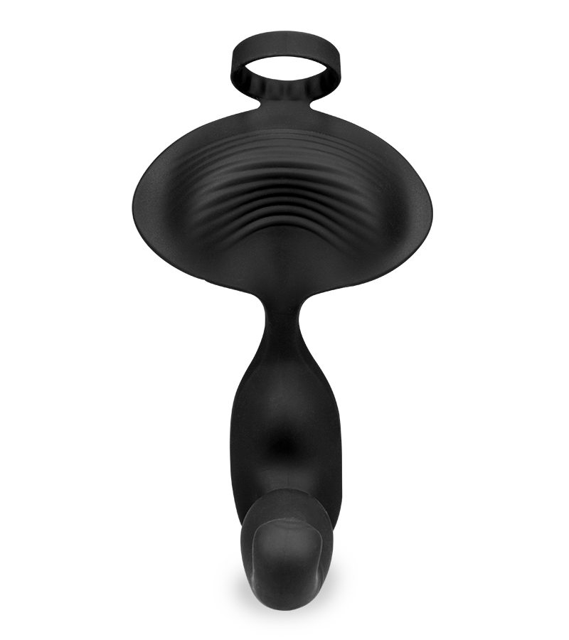 Raptor 2-in-1 prostate massager