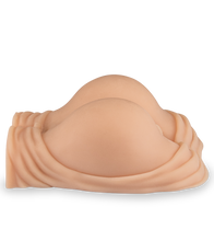 Load image into Gallery viewer, Realistic vagina and ass 5 lb