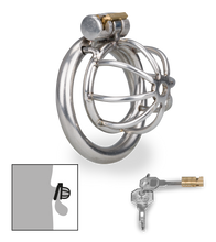 Load image into Gallery viewer, Repentance small chastity cage